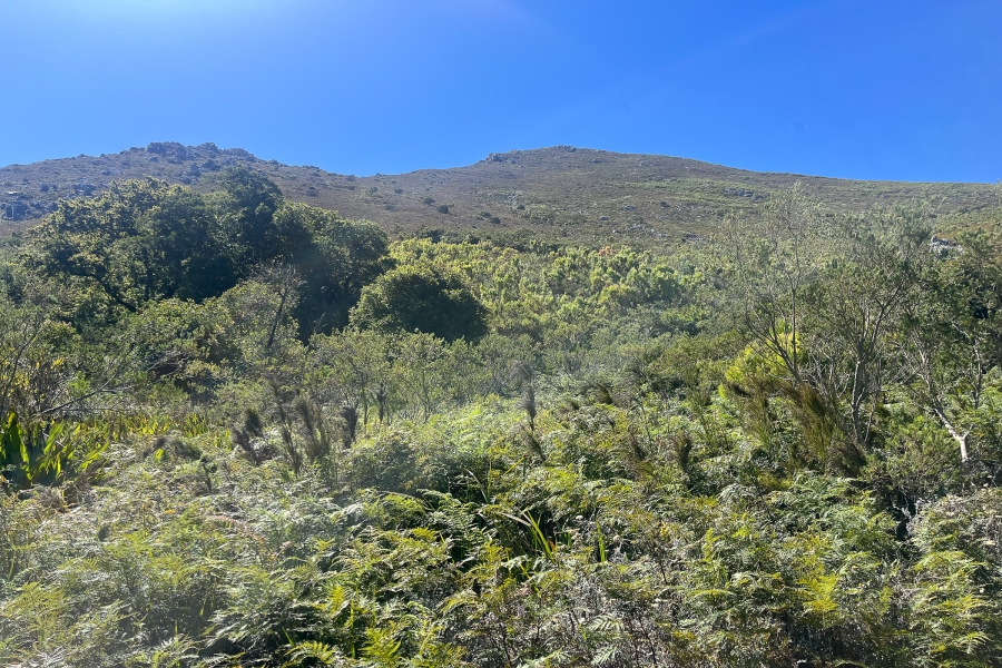0 Bedroom Property for Sale in Franschhoek Rural Western Cape